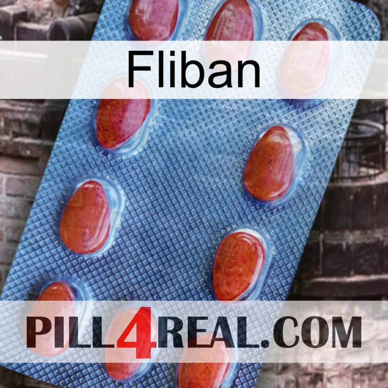 Fliban 06